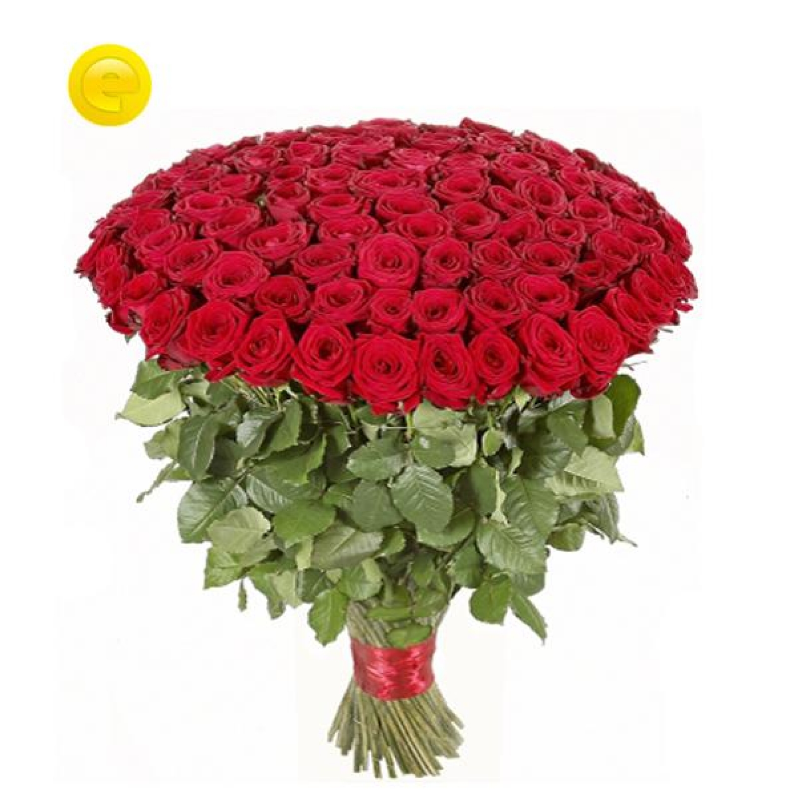 Купить розы в новосибирске недорого