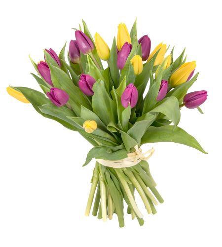 Bukiet z kolorowych tulipanów