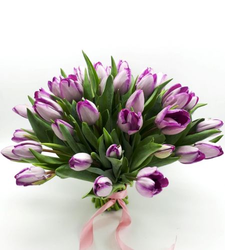 Bukiet "Fioletowe tulipany" maxi