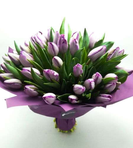 Bukiet "Fioletowe tulipany w papierze"maxi