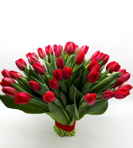 Bukiet "Czerwone tulipany" maxi
