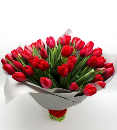 Bukiet "Czerwone tulipany w papierze" maxi