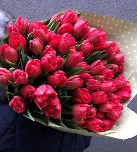 Czerwone tulipany w dekoracyjnym papierze