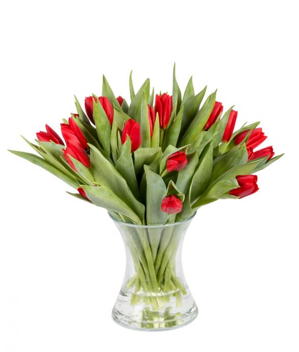 Impresja z 25 tulipanów w wazonie