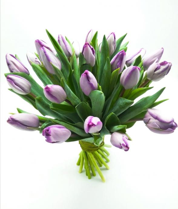 Bukiet "Fioletowe tulipany" midi