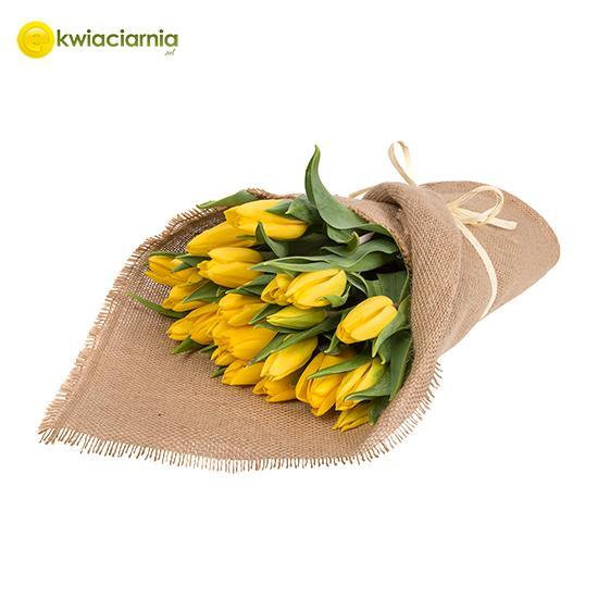 Żółte tulipany w jucie